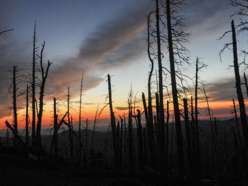 Mt Hood Cloud Cap sunrise 1